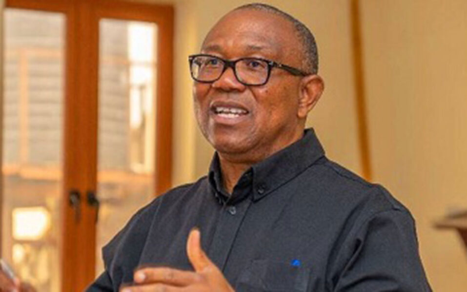 Nigeria notorious for rights abuses – Peter Obi